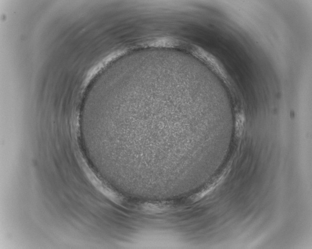 X0000087520725200705112005