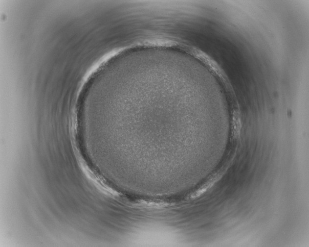 X0000087520726200705112005