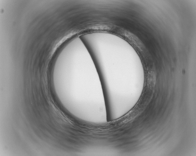 X0000087520727200705112005