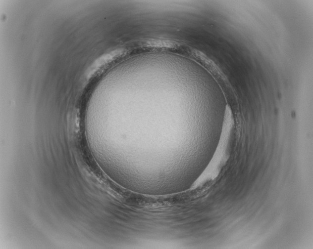 X0000087520731200705112005