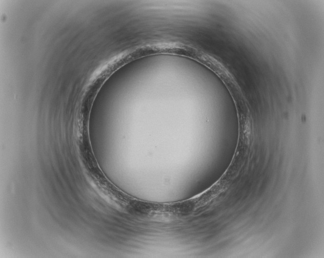 X0000087520732200705112005