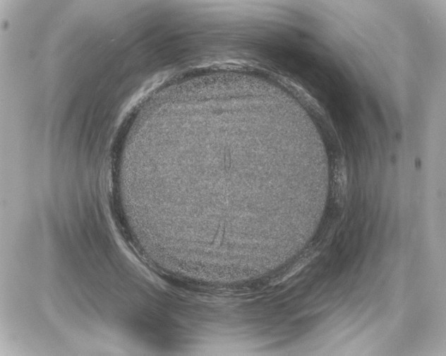 X0000087520734200705112006