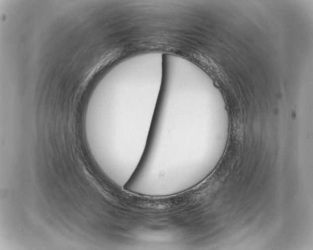 X0000087520735200705112006