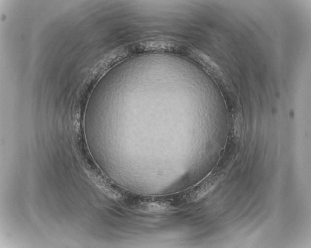 X0000087520737200705112006