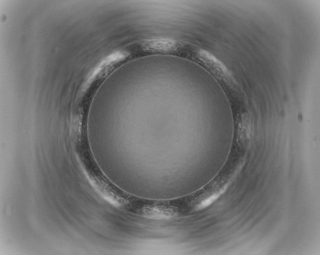 X0000087520739200705112006