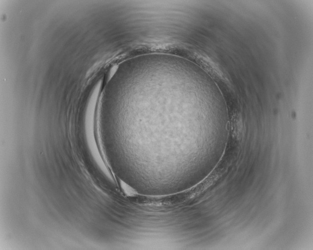 X0000087520740200705112006