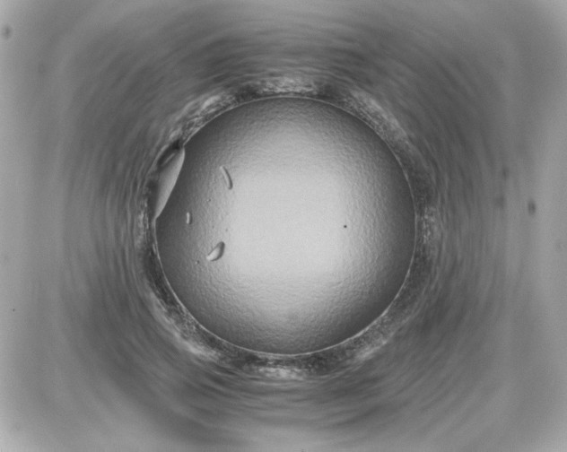 X0000087520741200705112006