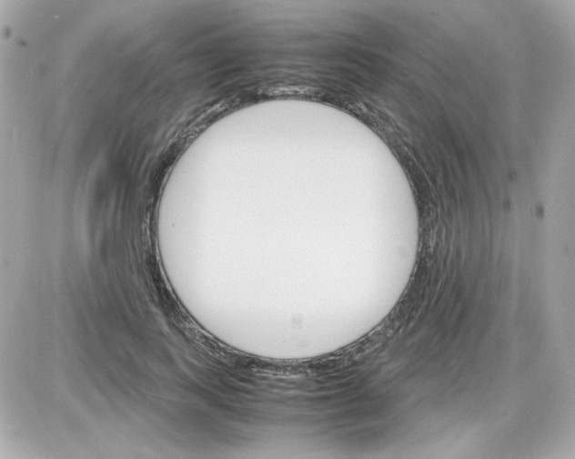 X0000087520743200705112006