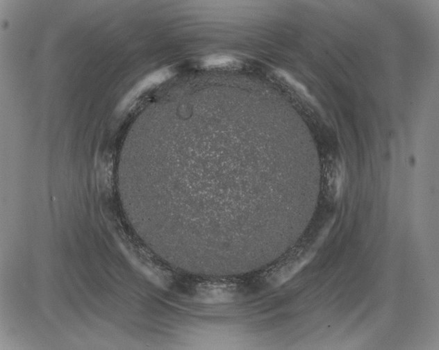 X0000087520745200705112006