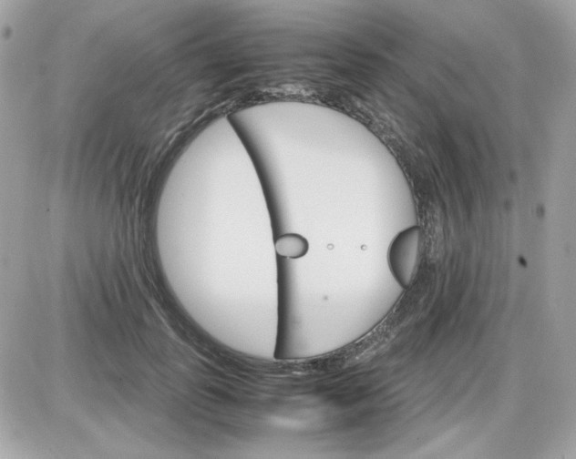 X0000087520747200705112006