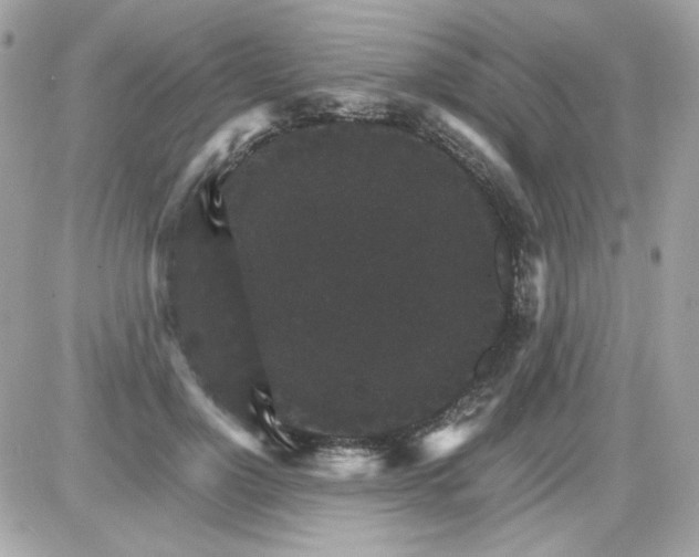 X0000087520748200705112006