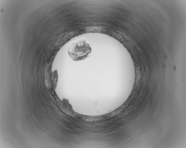 X0000087520749200705112006