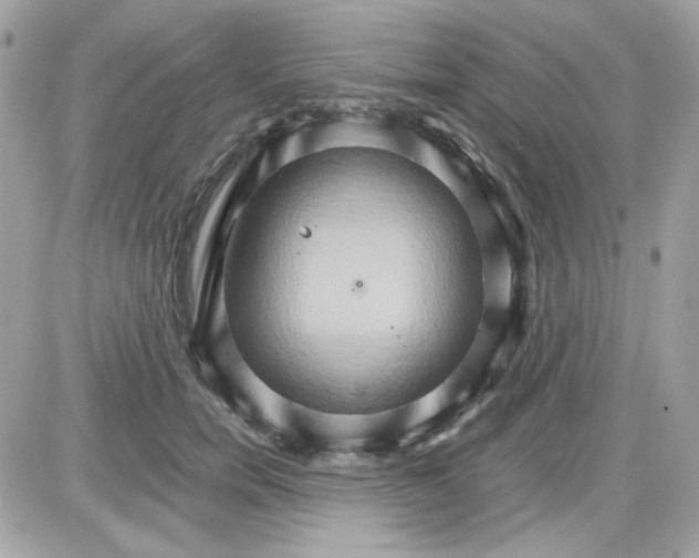 X0000087520750200705112006