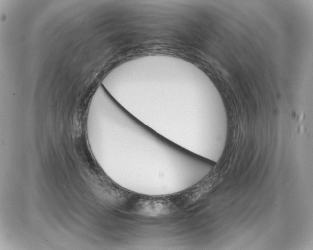 X0000087520751200705112006