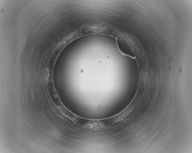 X0000087520752200705112006