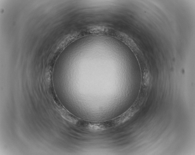 X0000087520753200705112006