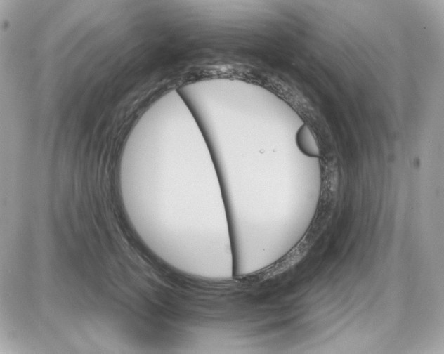 X0000087520754200705112006