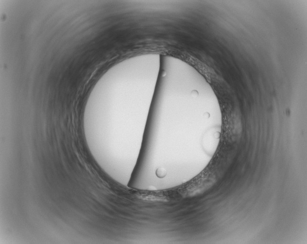 X0000087520755200705112006