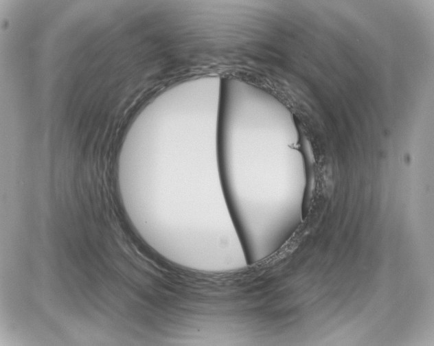 X0000087520756200705112006