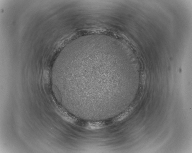 X0000087520757200705112006