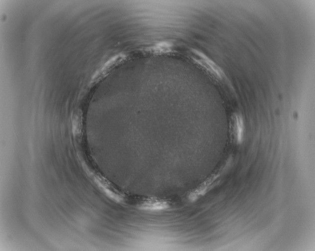 X0000087520760200705112006