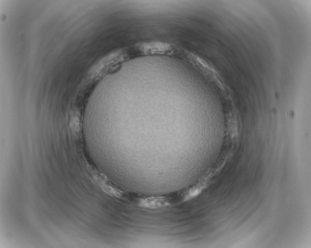 X0000087520761200705112006