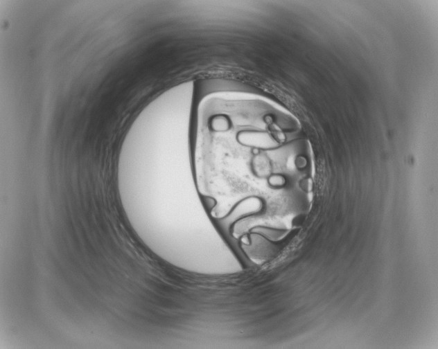 X0000087520762200705112006