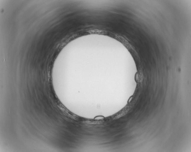 X0000087520763200705112006