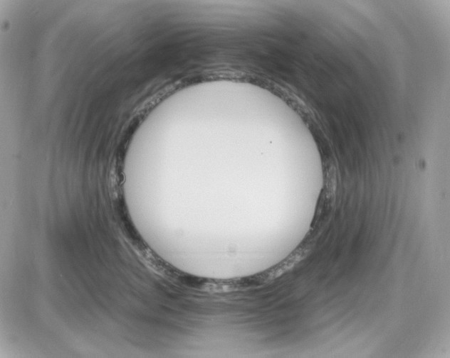 X0000087520764200705112006