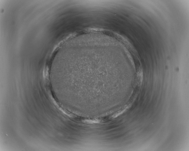 X0000087520765200705112006