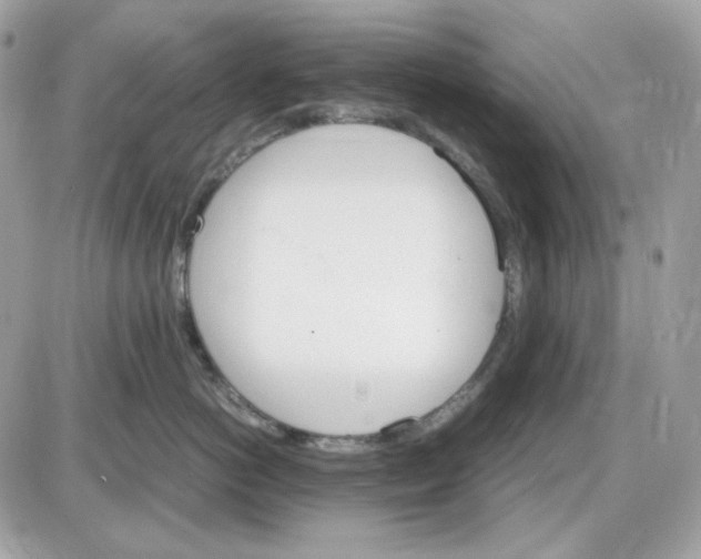 X0000087520766200705112006