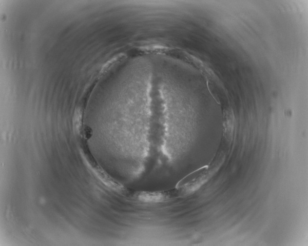 X0000087520767200705112006