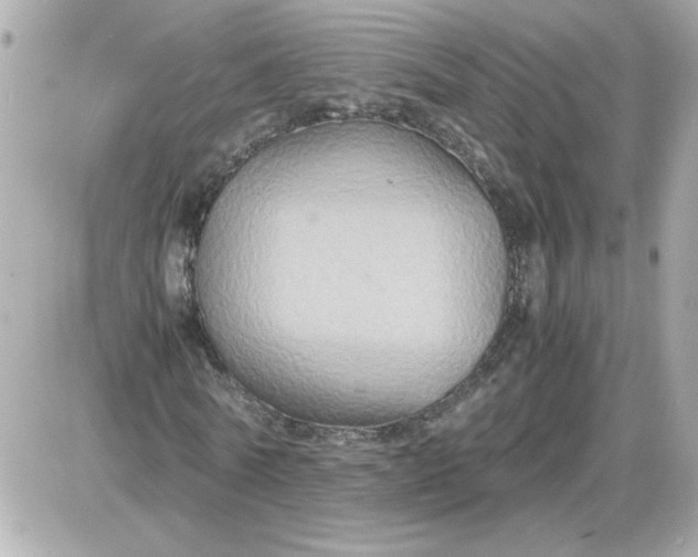 X0000087520770200705112005