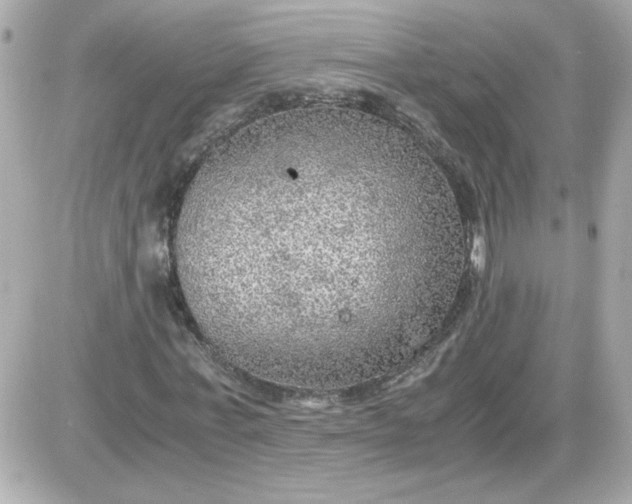 X0000087520771200705112005