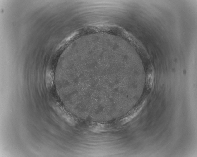 X0000087520772200705112005