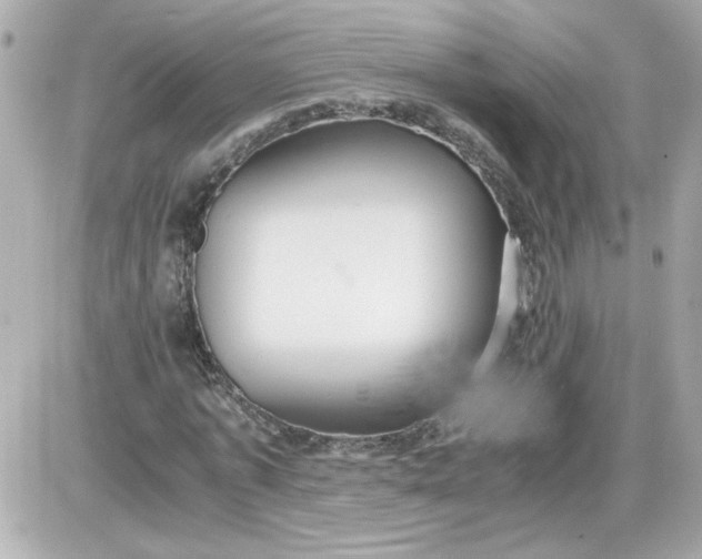 X0000087520773200705112005