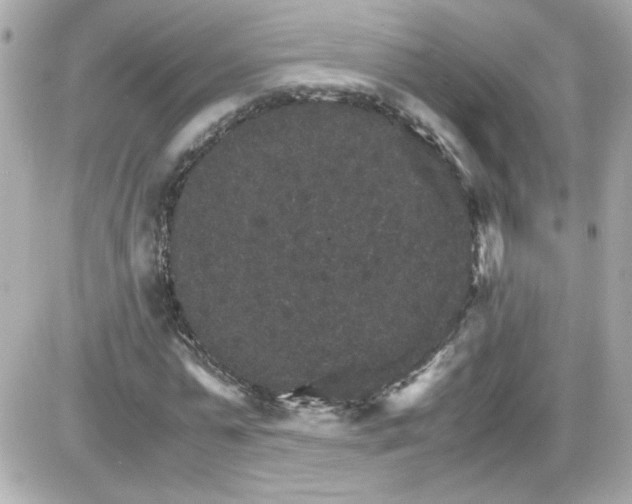 X0000087520775200705112005