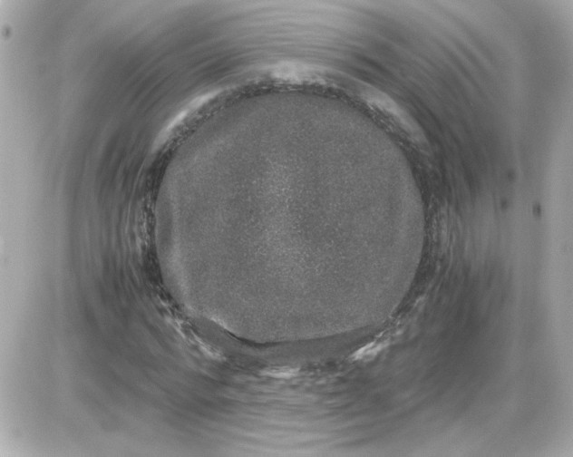 X0000087520776200705112005