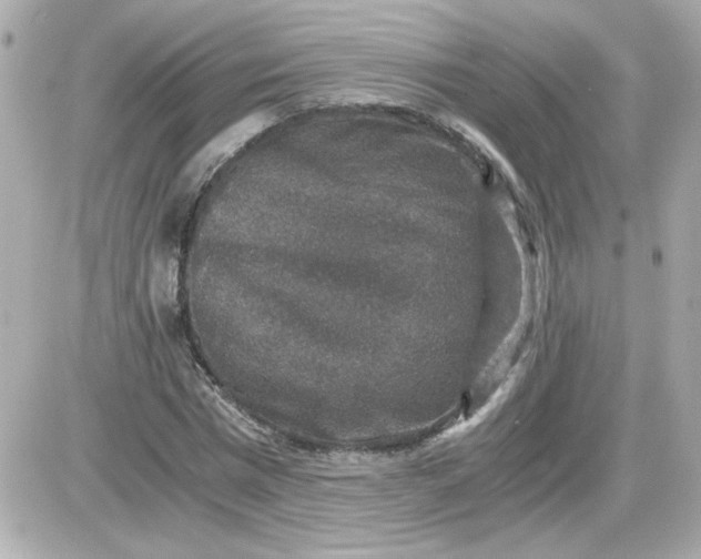 X0000087520777200705112005