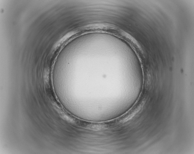 X0000087520778200705112005