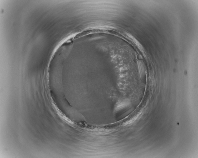 X0000087520779200705112005