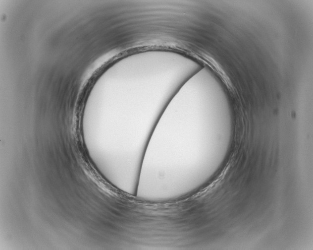 X0000087520780200705112005