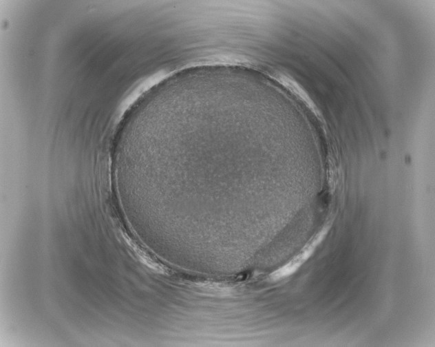 X0000087520781200705112005