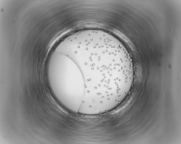 X0000087520782200705112005