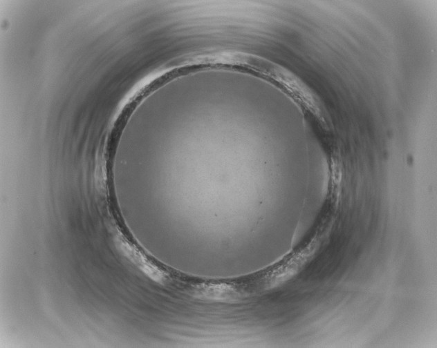 X0000087520784200705112005