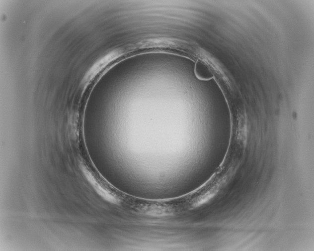 X0000087520786200705112005