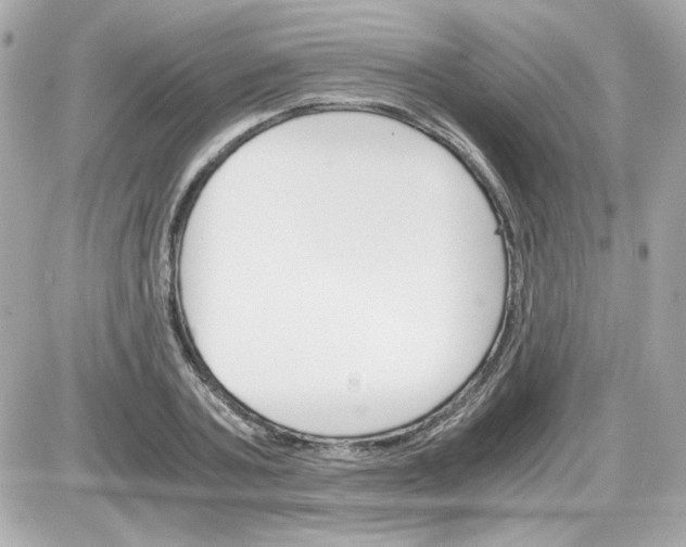 X0000087520787200705112005