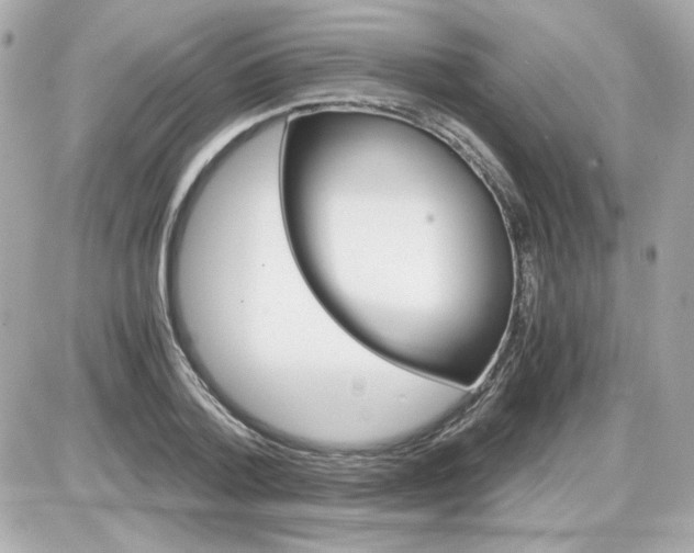 X0000087520788200705112005