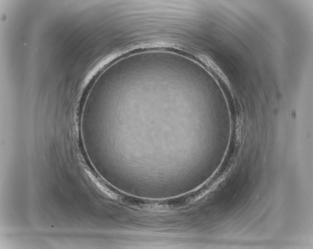 X0000087520789200705112005