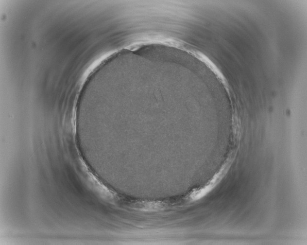 X0000087520791200705112005